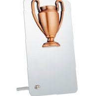 Награда Bowl Bronze