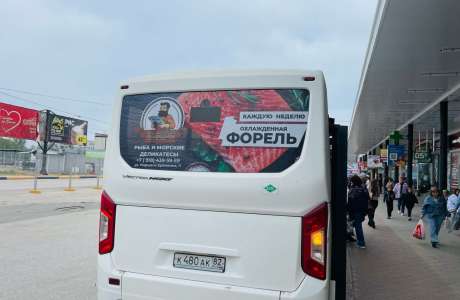 Реклама на задних стеклах автобусов